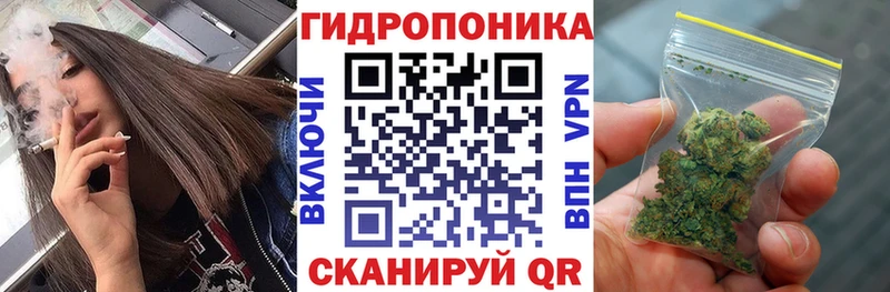Цена Асино Бошки Шишки  Псилоцибиновые грибы  ГАШ  Кокаин  kraken ONION  Alpha-PVP 