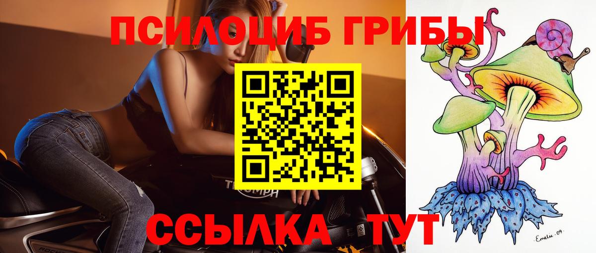 сколько стоит  Галлюциногенные грибы прущие грибы  Вход с VPN  Асино 